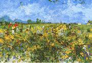 Vincent Van Gogh Green Vineyard oil painting artist